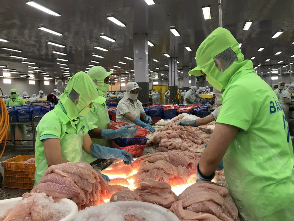 – Cá tra là 1 trong 5 ngành hàng chủ lực trong thực hiện Đề án tái cơ cấu ngành nông nghiệp tỉnh Đồng Tháp..jpg