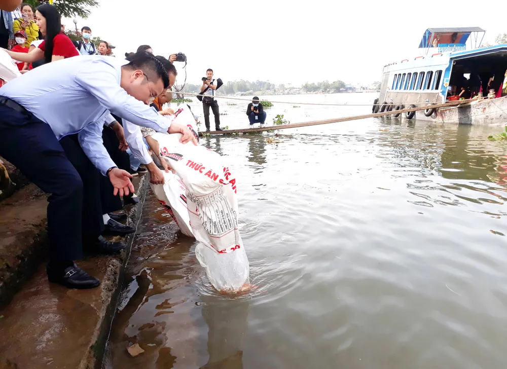 Hơn 2 tấn cá rô được thả vào môi trường tự nhiên