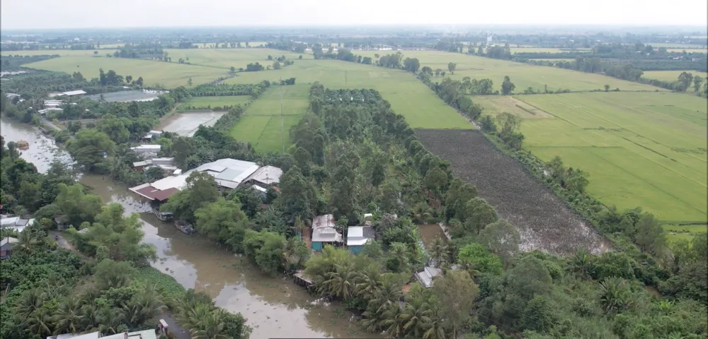 Dự án thành phần 1 địa qua địa bàn 2 huyện Cao Lãnh, Tháp Mười (tỉnh Đồng Tháp)