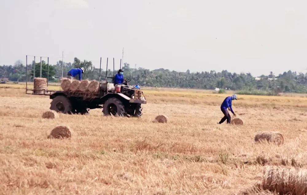 Screen Shot 2024-08-06 at 12.42.22.png