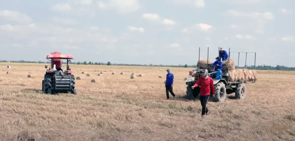 Screen Shot 2024-08-06 at 12.42.33.png