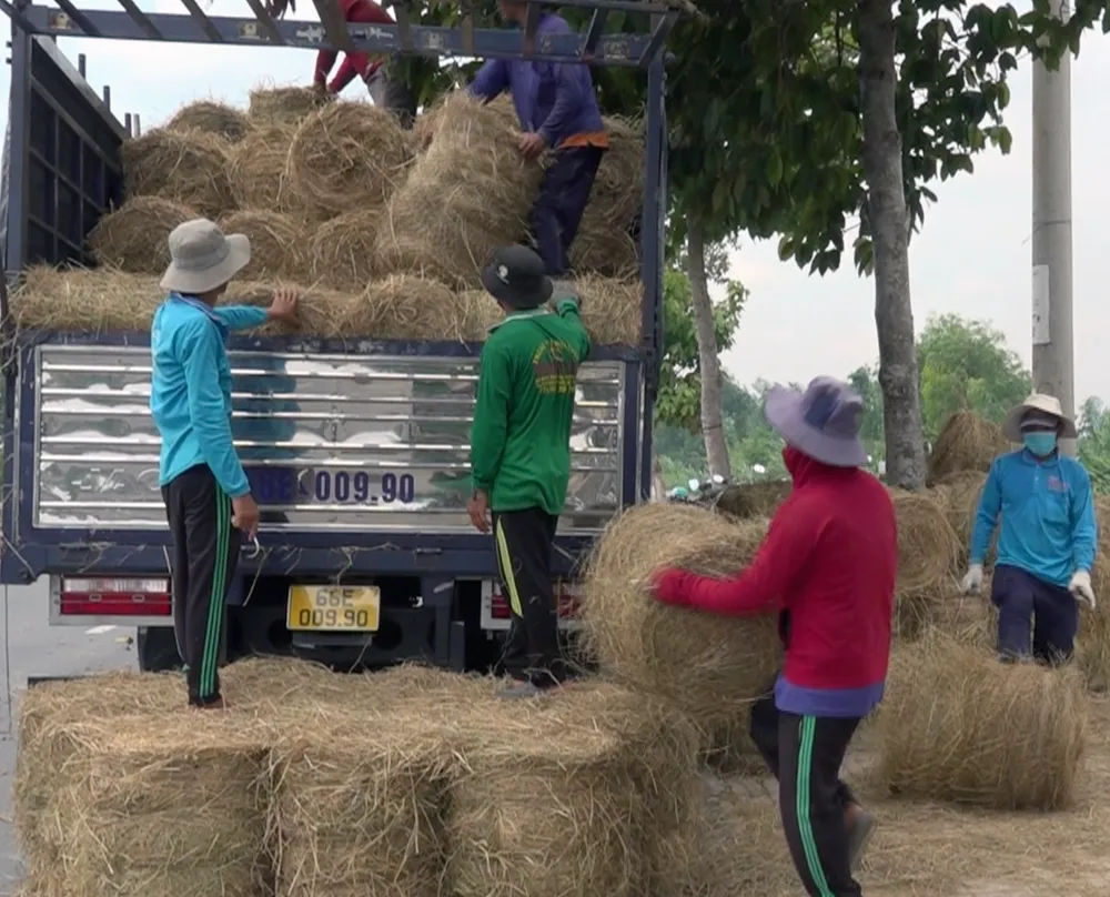 Screen Shot 2024-08-06 at 15.21.15.png