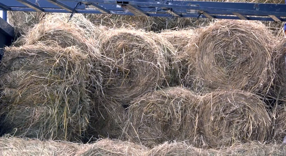 Screen Shot 2024-08-06 at 15.21.52.png