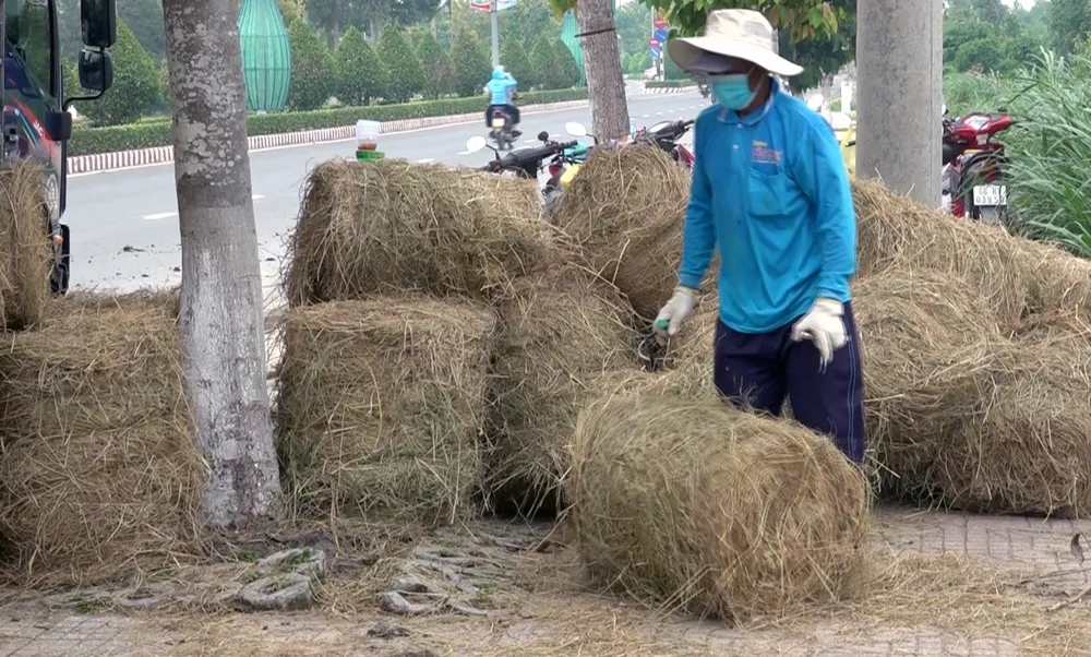 Screen Shot 2024-08-06 at 15.25.56.png