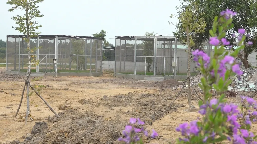 Chuồng nuôi sếu bán hoang dã tại Vườn Quốc gia Tràm Chim (huyện Tam Nông, tỉnh Đồng Tháp)