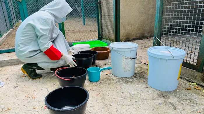 chuyên gia sếu.jpg