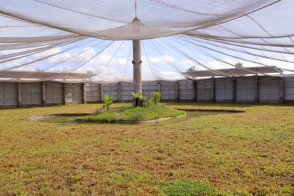 Vuon quoc gia Tram Chim san sang don seu dau do. ANh 4.JPG