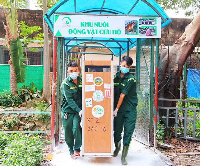 vạn chuyen sếu.jpg