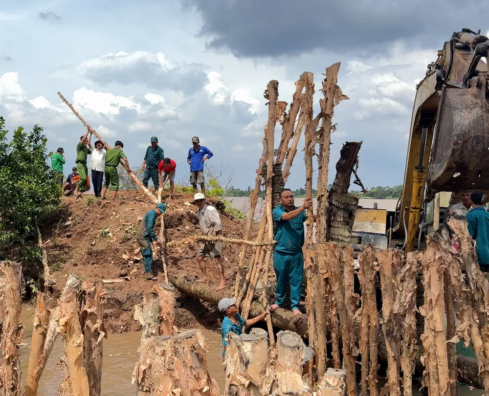 Đê cồn Thanh Long đã được gia cố, ngăn không cho nước tràn vào. Ảnh: HL