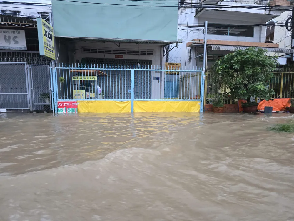 ngập 3.jpg