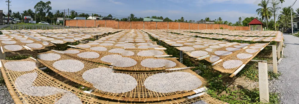 Làng nghề bánh tráng Mỹ Lồng tất bật sản xuất phục vụ Tết Bính Ngọ 2026. Ảnh: TÍN HUY