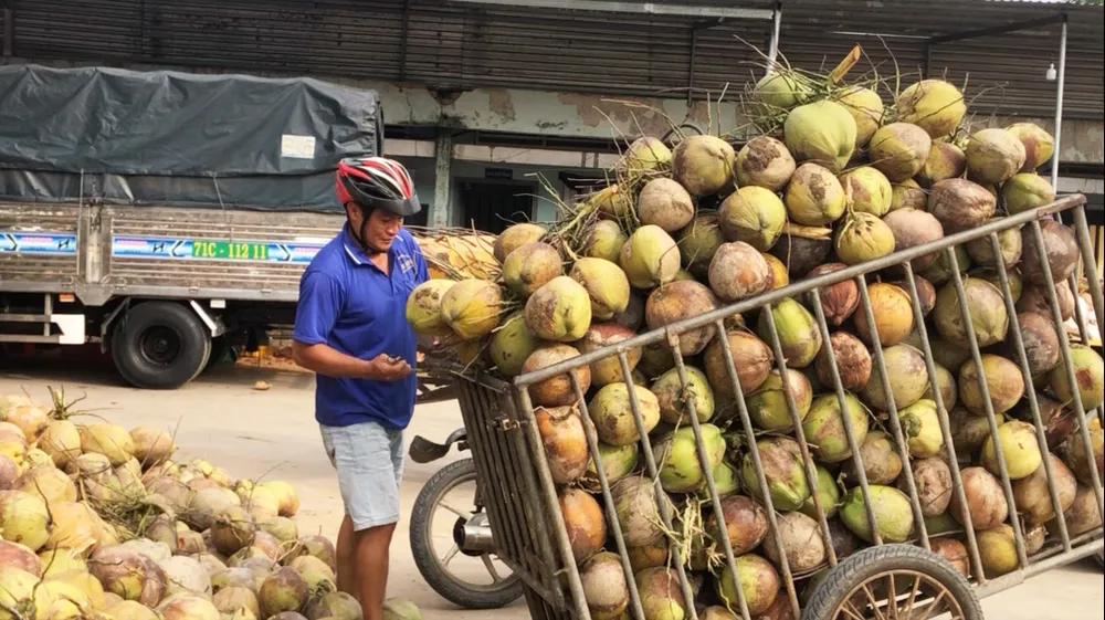 htx dừa định thuỷ.jpg