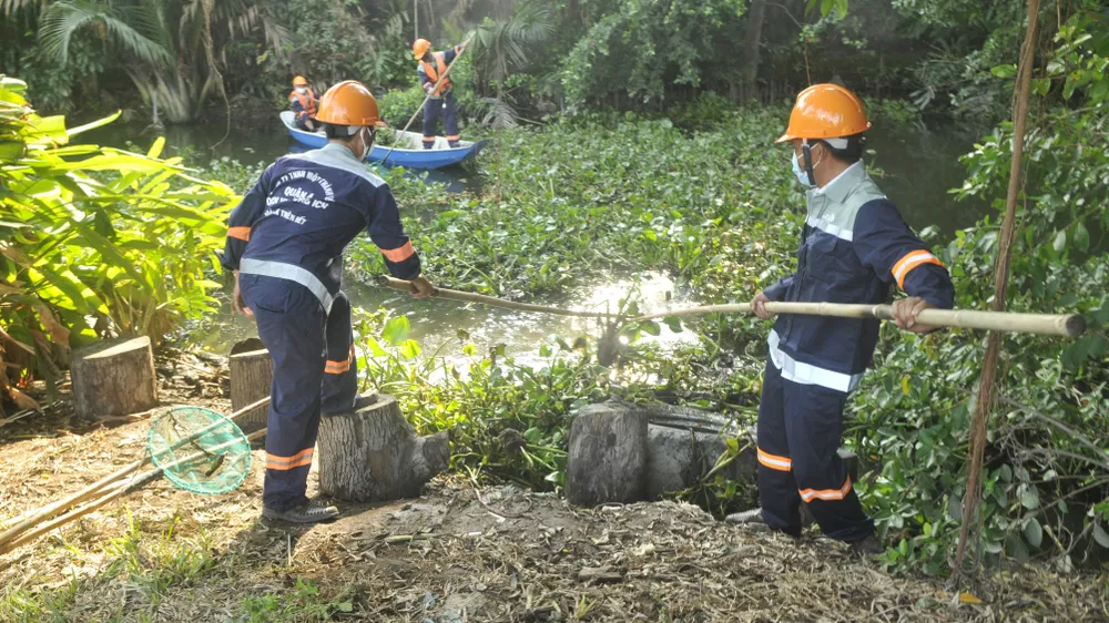 Quận 4 trồng hơn 1.200 cây xanh và tổng vệ sinh môi trường ảnh 2