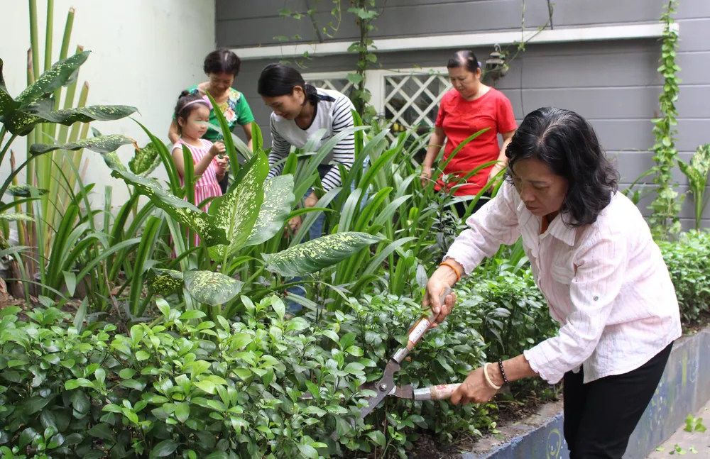 Góp 1.000 cây xanh làm đẹp quận 4 ảnh 1