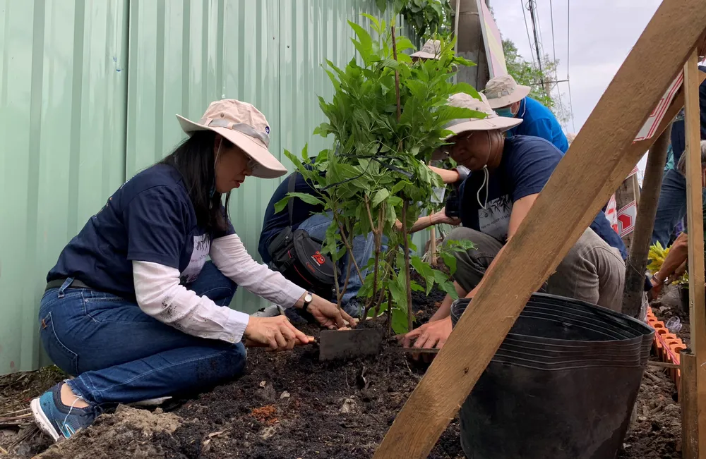 Ngày chủ nhật vì môi trường ảnh 1
