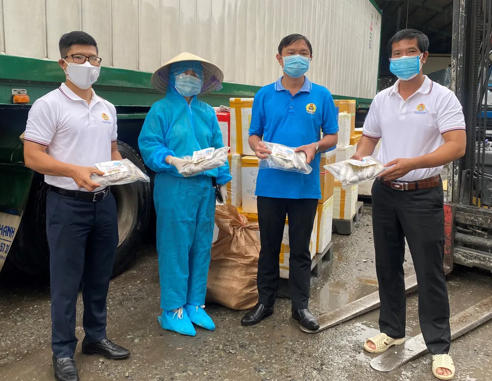 Người dân Quảng Bình tặng cá, tôm tươi đến công nhân TPHCM ảnh 1