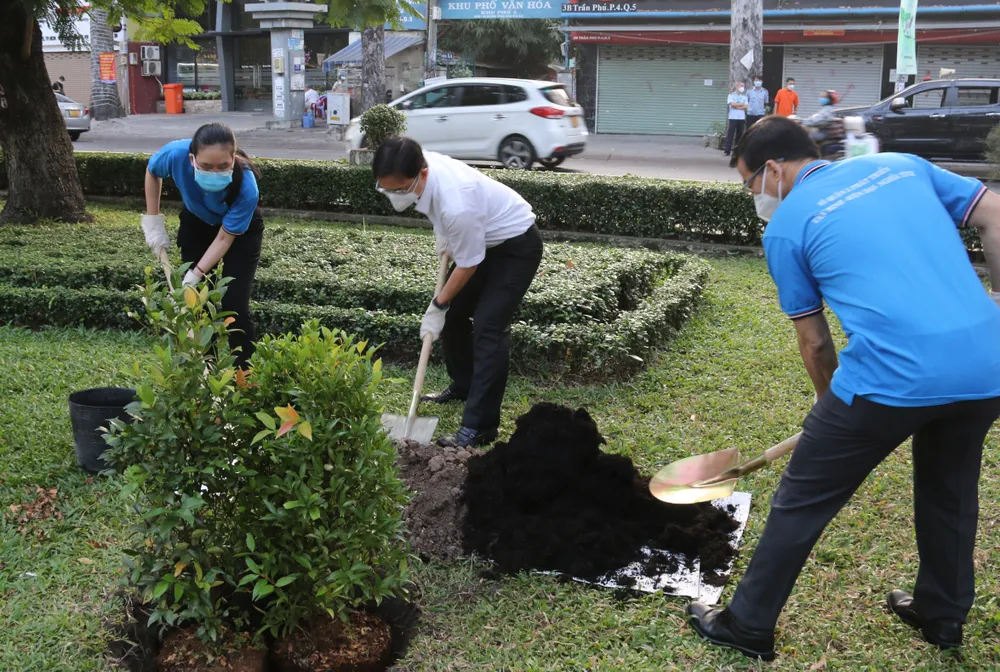 Quận 5 ra quân dọn vệ sinh, trồng cây chào mừng năm mới ảnh 1