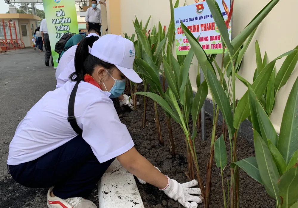 Phát động mỗi gia đình hội viên phụ nữ trồng một cây xanh ảnh 4