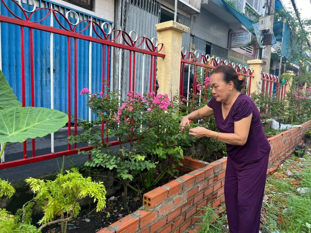 Người dân tham gia chăm sóc hoa dọc tuyến đường sắt trên địa bàn phường 9, quận Phú Nhuận