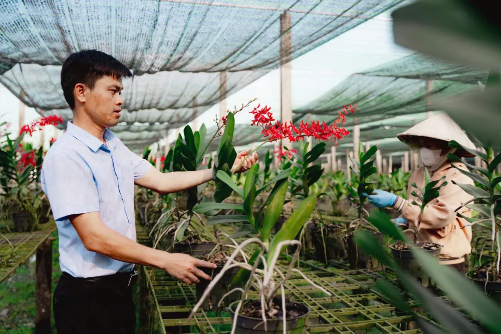 Kỹ sư Nguyễn Hoàng Duy Lưu trong công việc hàng ngày.jpg