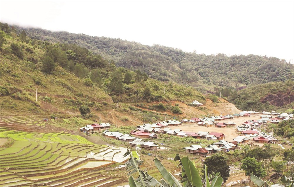 lay nguoi dan lam trung tam 2.jpg