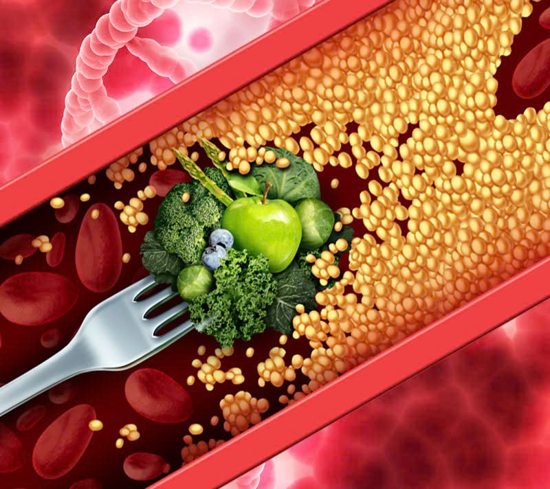 血管乃至血液是可以“返老还童”。