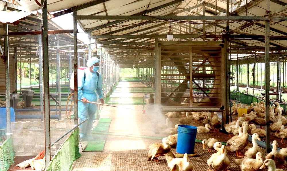 日就禽流感召开紧急会议吁加强对策