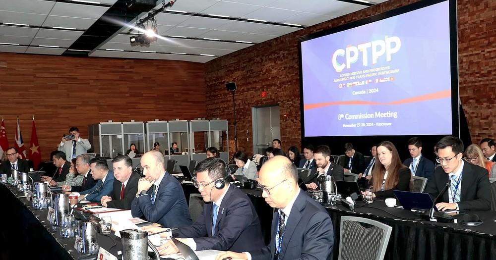 越南加强与加拿大和新加坡在 CPTPP 框架内的关系