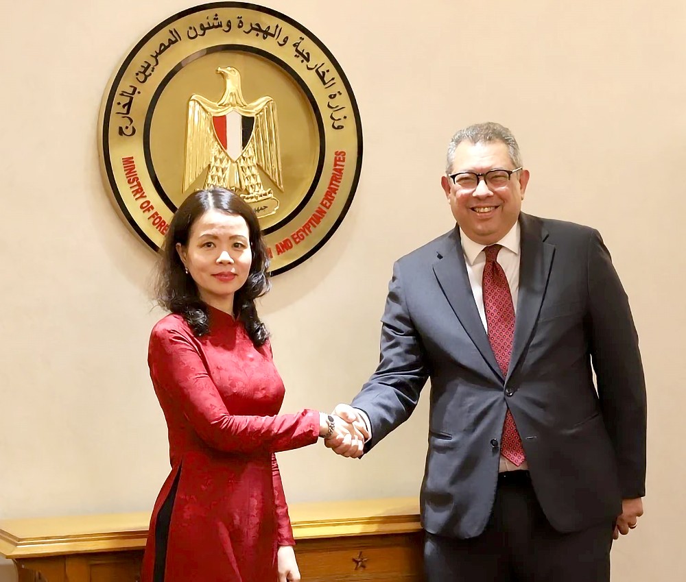 越南与埃及加强全面合作关系