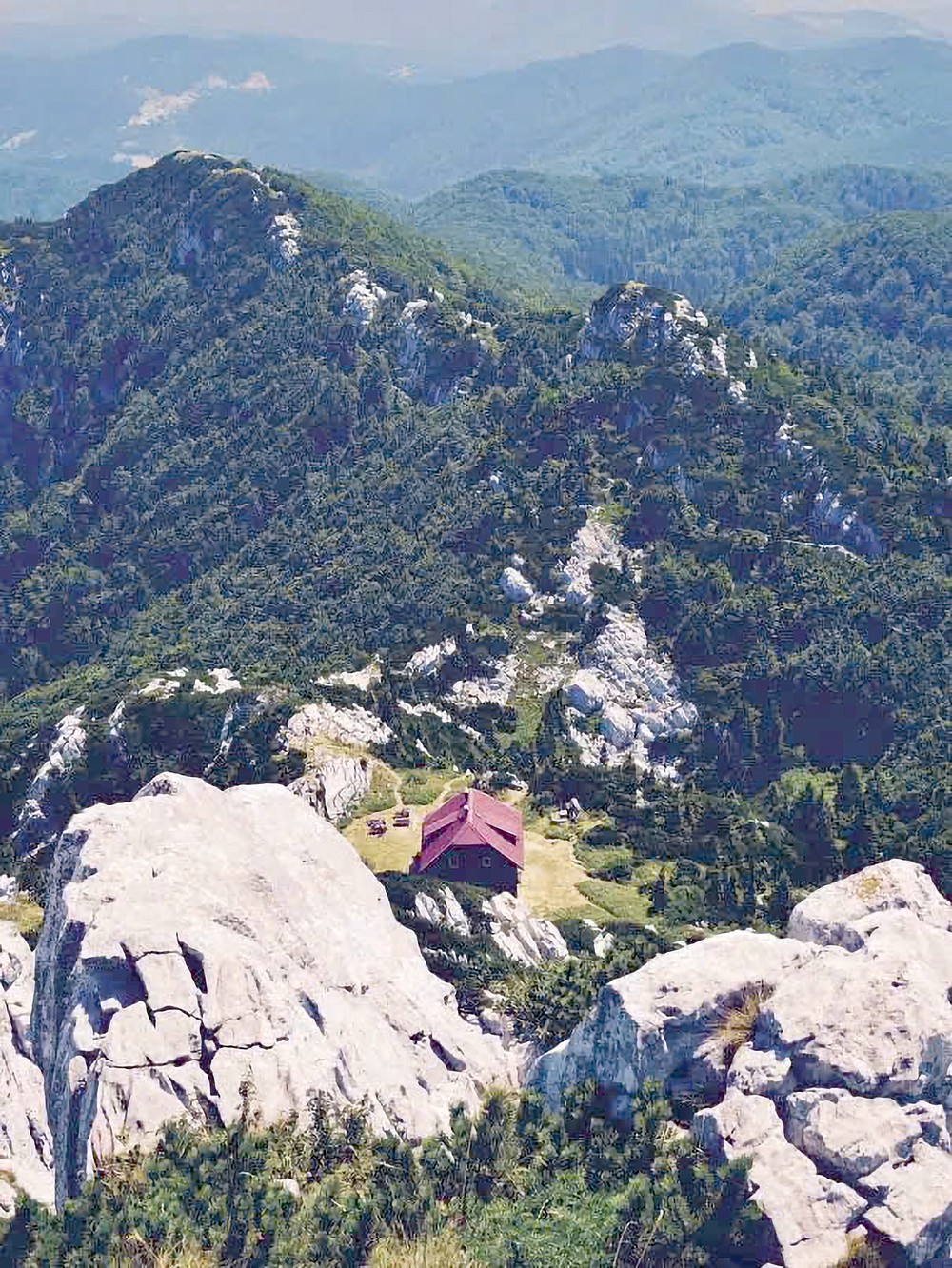 6-12 z6094905884558_5e6f2b52bf5f296ae9ba05ea8565bfc5.jpg