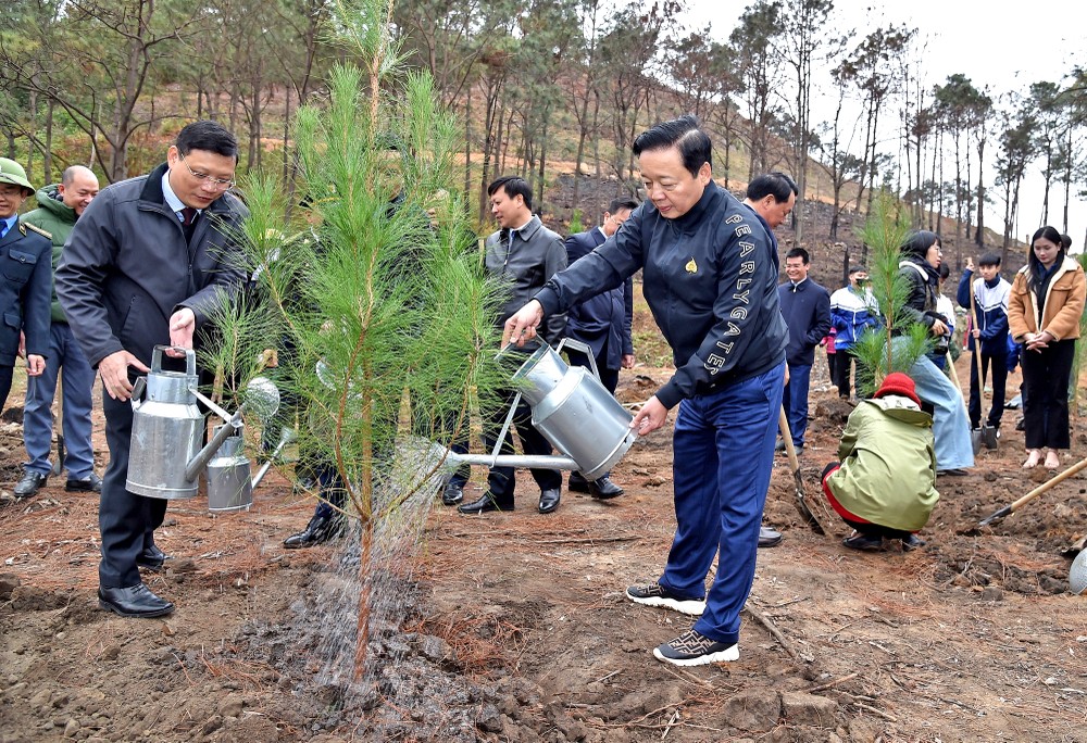 2025年2月8日简讯