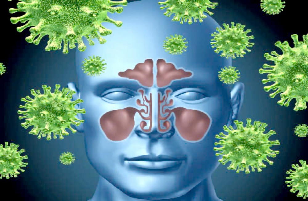 当挖鼻孔时，手部的病菌就会进入鼻腔。