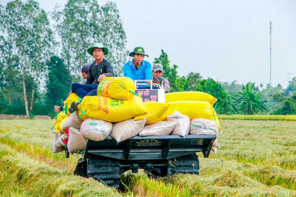 逾4100名农村劳工将接受职技培训