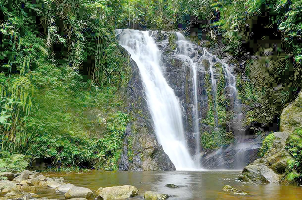 28-2 z6352380084690_b8f9374cc8e010e910268f422c72d688.jpg