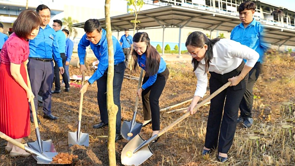 本市年轻人种植新绿树以营造绿化空间、建设都市美观。