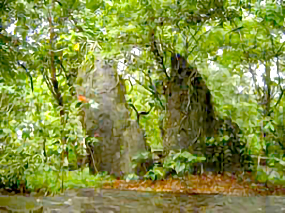 河内石冲山历史遗迹。