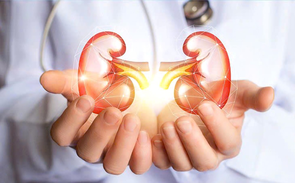 慢性肾脏病已成为全球危害人类健康的重要公共卫生问题之一。