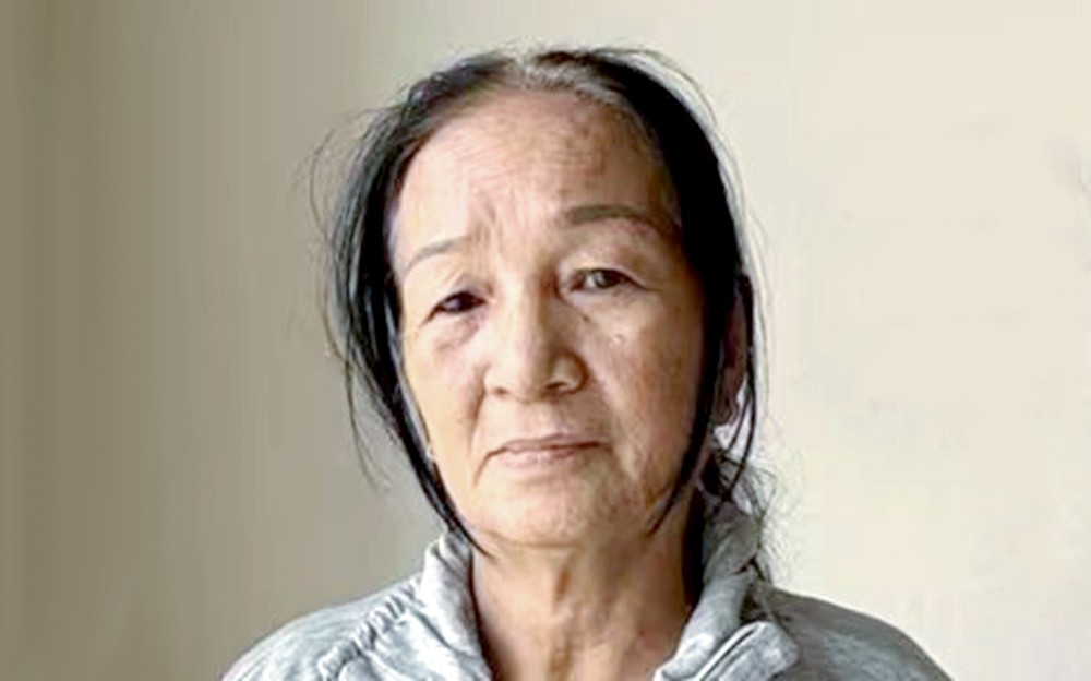 拐卖妇女通缉犯被捕归案