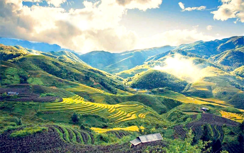 老街吸引众多国内外游客参观。