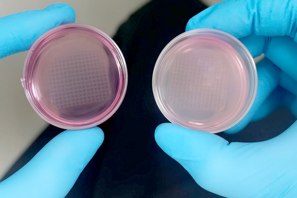 科学家开发出3D列印活细胞皮肤