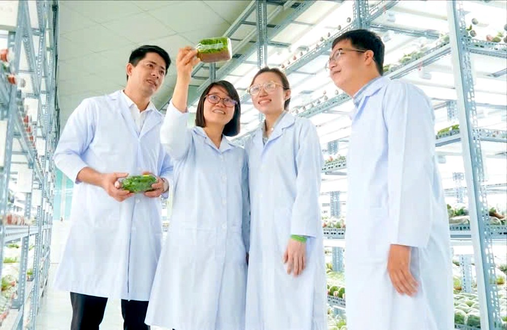 生产许多高产量农产品的市高新技术农业园区吸引许多年轻技师。