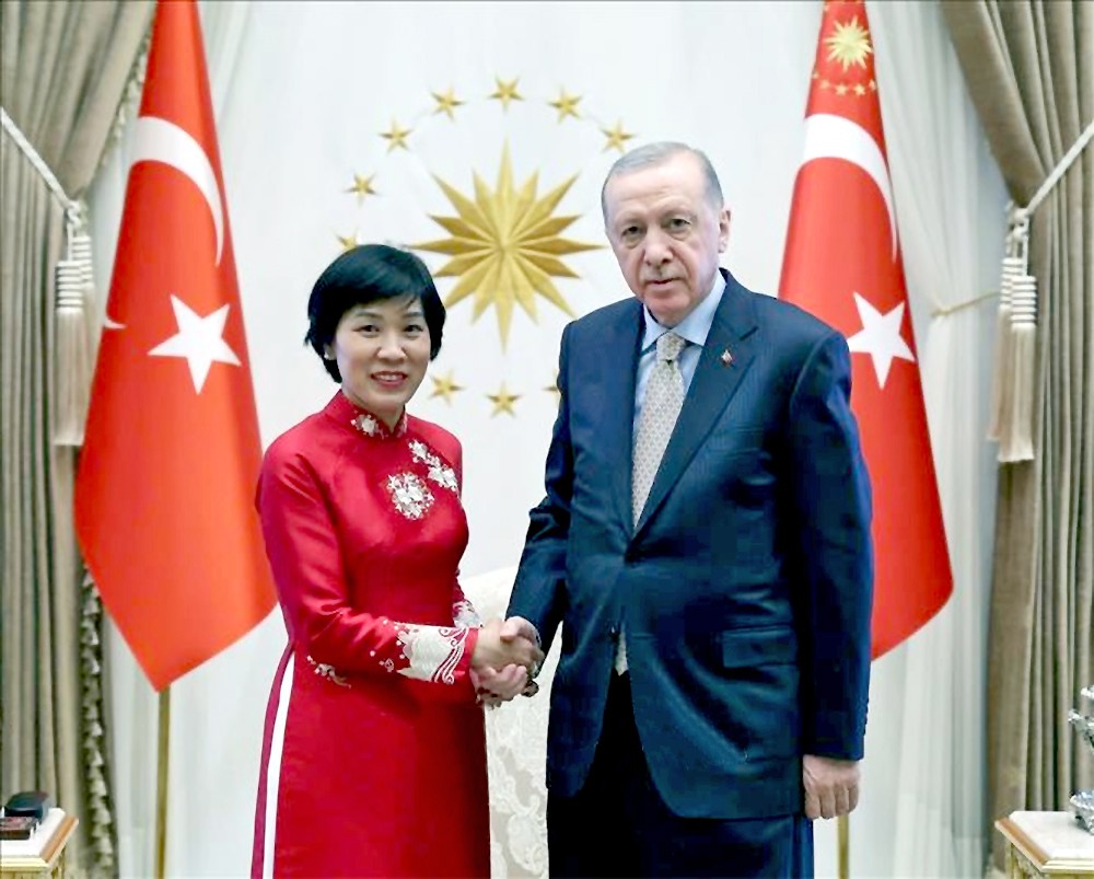 越土关系致力于实现全面与务实发展