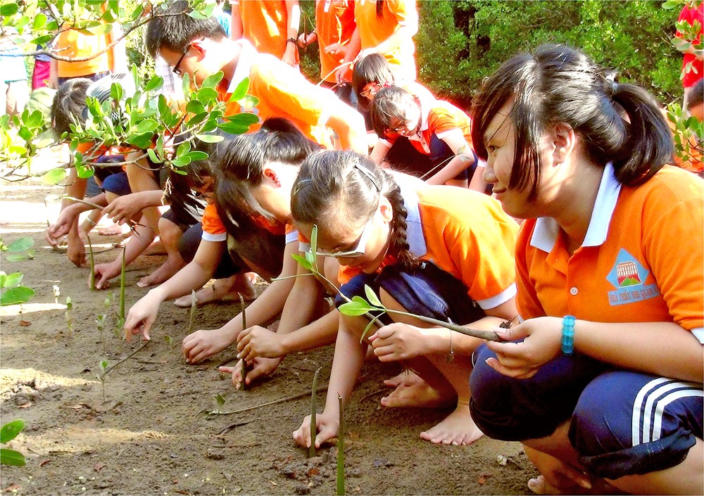 本市学生参加芹耶红树林新植活动，以为城市增添绿肺。