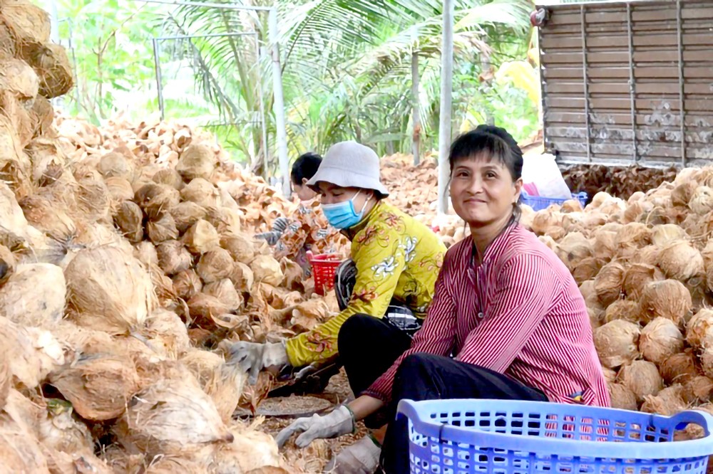 槟椥省犁嘴南县定水乡的阮氏佩从事椰子加工工作，有助改善家庭的经济生活。