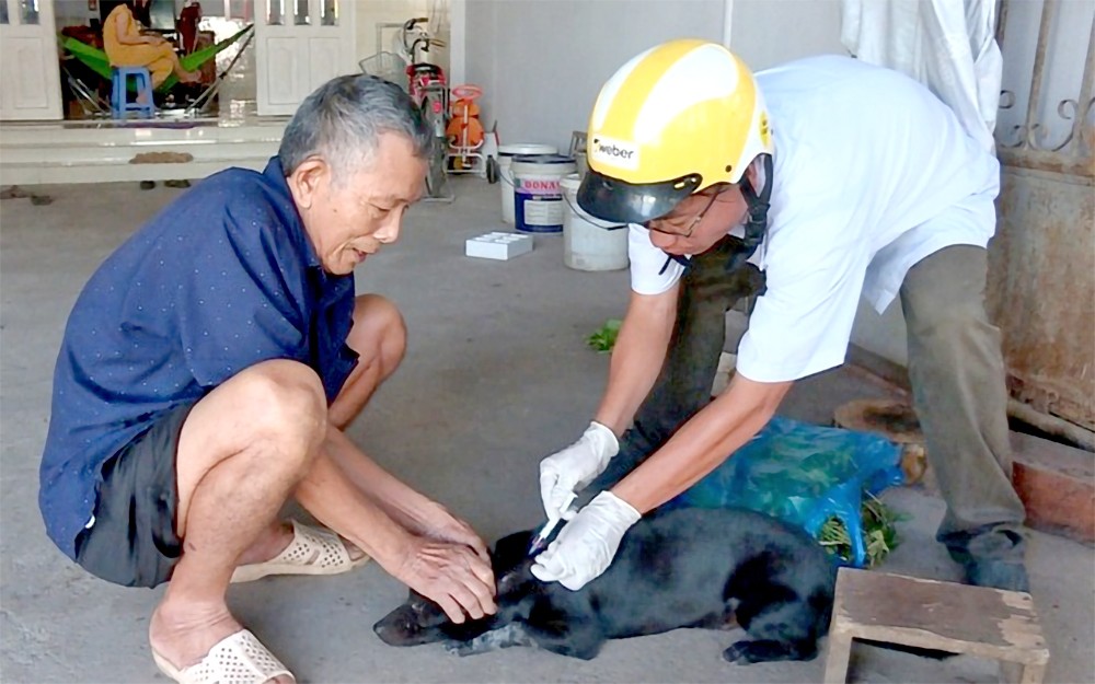 同奈省人委会要求加强防控狂犬病