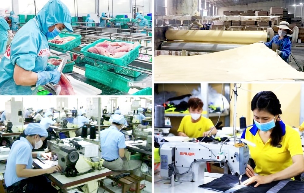 颁布促进民营经济发展行动计划