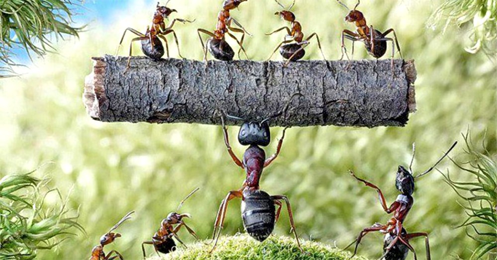 勤能补拙 ( 一 )