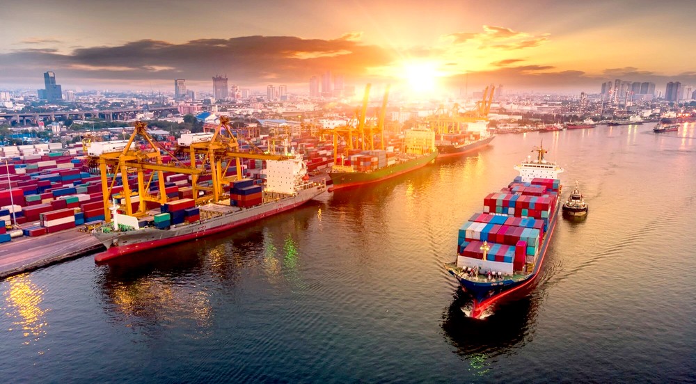 越南建设自力自强经济体之时机