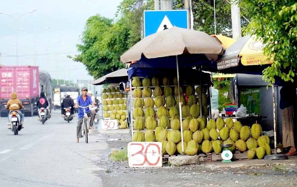 位于前江省１号国道路段的榴槤零售点。