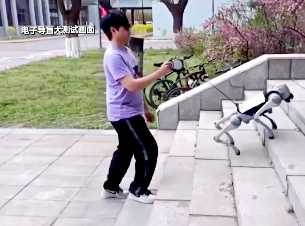 电子导盲犬让视障人士“看见”生活点滴